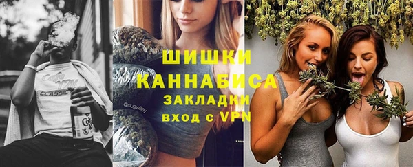 ПСИЛОЦИБИНОВЫЕ ГРИБЫ Магас