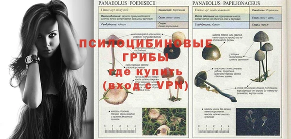 хмурый Магадан