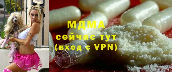ПСИЛОЦИБИНОВЫЕ ГРИБЫ Магас
