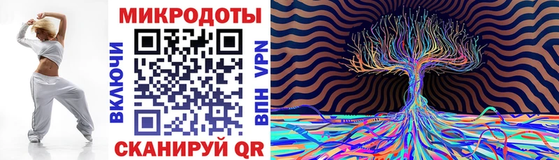 Галлюциногенные грибы Cubensis  Элиста 